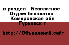  в раздел : Бесплатное » Отдам бесплатно . Кемеровская обл.,Гурьевск г.